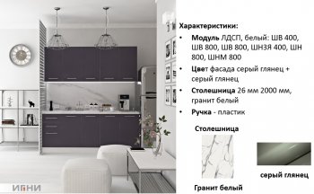 Кухонный гарнитур 2000 мм Агата (Игни) в Асбесте - asbest.mebel-e96.ru
