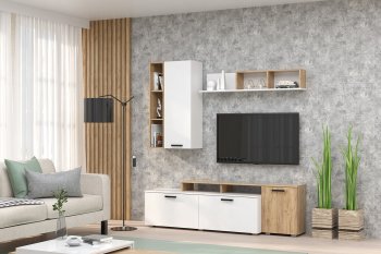 Стенка Эльза комп.2 (Зарон) в Асбесте - asbest.mebel-e96.ru