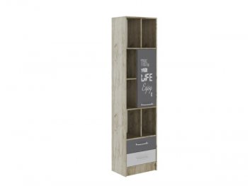 Пенал Колибри Лофт серый (Текс) в Асбесте - asbest.mebel-e96.ru