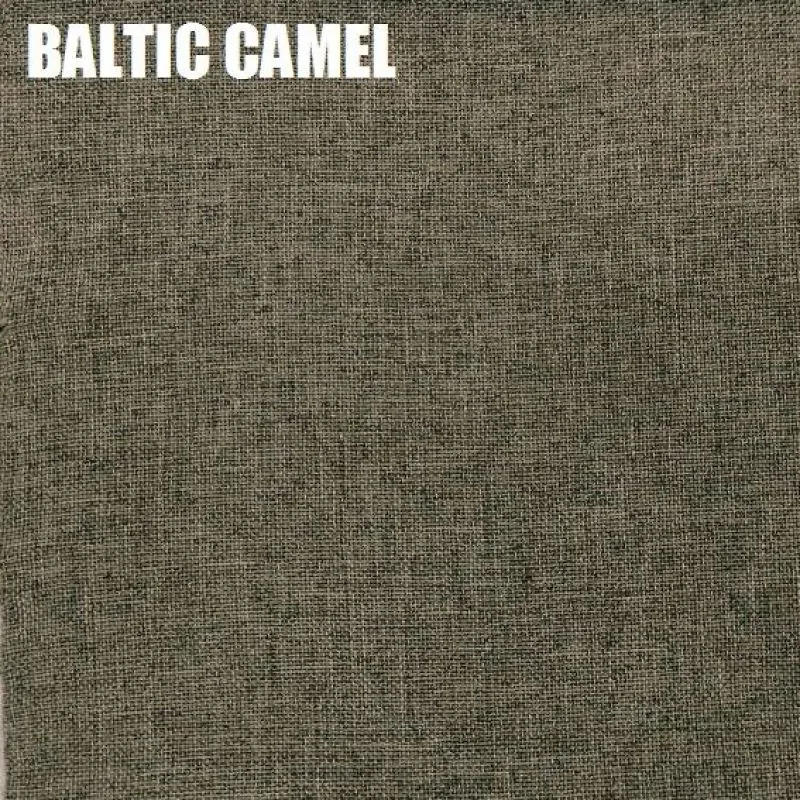 Диван-кровать Комфорт без подлокотников BALTIC CAMEL (2 подушки) в Асбесте - asbest.mebel-e96.ru