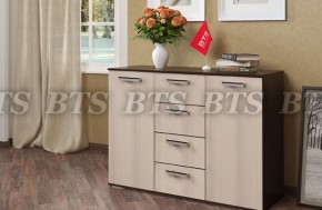 Комод Стандарт №2 NEW (БТС) в Асбесте - asbest.mebel-e96.ru