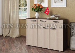 Комод Стандарт 4 NEW (БТС) в Асбесте - asbest.mebel-e96.ru