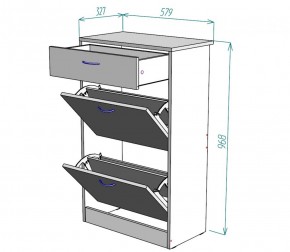 Обувница W21 (Белый) в Асбесте - asbest.mebel-e96.ru