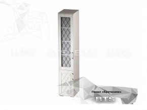 Пенал Британика (БТС) в Асбесте - asbest.mebel-e96.ru