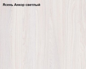 Шкаф 1-но дверный для одежды Ольга-1Н в Асбесте - asbest.mebel-e96.ru