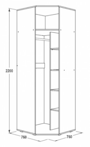 Шкаф 1-но дверный угловой Ольга-14 (760*760) в Асбесте - asbest.mebel-e96.ru