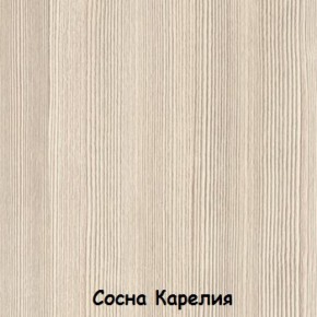 Шкаф 900 мм 2-х створчатый ДМ-02 Серия 2 (СВ) в Асбесте - asbest.mebel-e96.ru