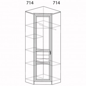 Шкаф для одежды угловой Лира 57 (Яна) в Асбесте - asbest.mebel-e96.ru