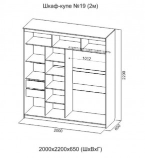 Шкаф-купе №19 Инфинити 2000 мм Ясень анкор светлый (СВ) в Асбесте - asbest.mebel-e96.ru