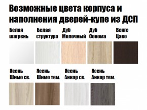 Шкаф-купе ХИТ 22-12/2-11 (620) в Асбесте - asbest.mebel-e96.ru