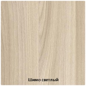 Шкаф-купе Лидер-3М 1700 мм (СтендМ) в Асбесте - asbest.mebel-e96.ru