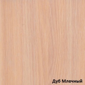 Шкаф-купе Рио 1-600 Амели (полки справа) в Асбесте - asbest.mebel-e96.ru