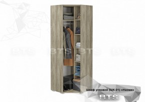 Шкаф угловой ШК-21 Наоми (БТС) в Асбесте - asbest.mebel-e96.ru