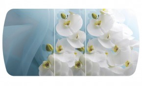 Стол Бостон-3 (Белая Орхидея) 1100/1420*700, опора Брифинг в Асбесте - asbest.mebel-e96.ru