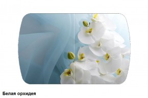 Стол Бостон 900*600 (опоры Брифинг) Стекло/фотопечать Белая Орхидея в Асбесте - asbest.mebel-e96.ru | фото