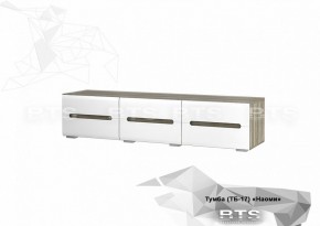 Тумба ТВ ТБ-17 Наоми в Асбесте - asbest.mebel-e96.ru | фото