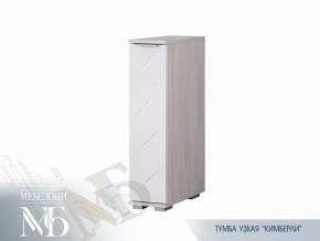 Тумба узкая ТБ-21 Кимберли (БТС) в Асбесте - asbest.mebel-e96.ru
