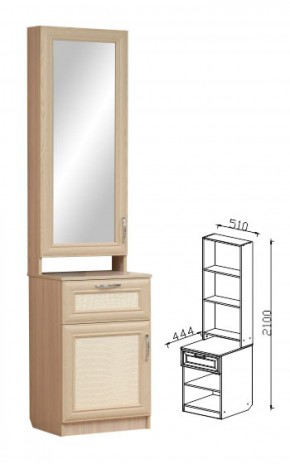 ВИП-6 шкаф комбинированный с зеркалом Визит-16 в Асбесте - asbest.mebel-e96.ru